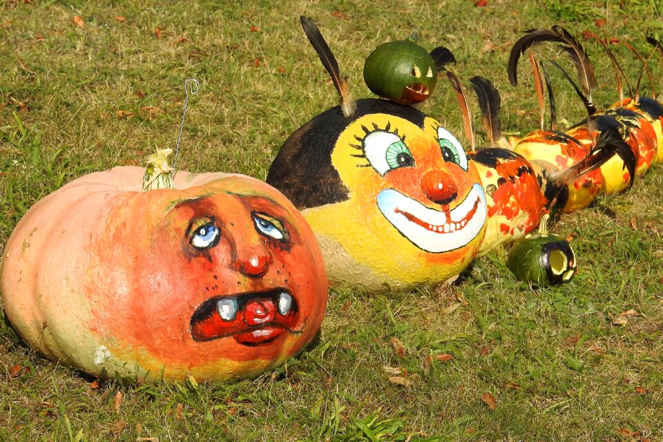 Autumn decoration autumn decoration