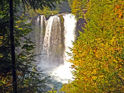 Landscape nature river
