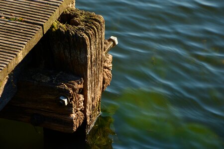 Old wood grain old