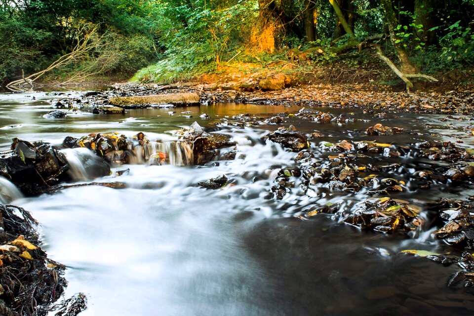 Flow idyllic waters