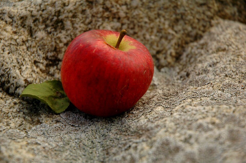 Food healthy delicious