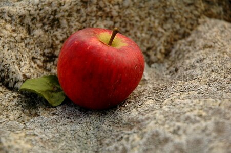 Food healthy delicious