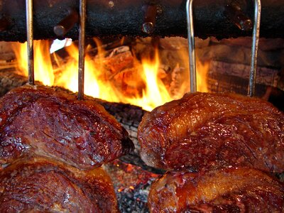 Meat meat-on-spit barbecue grill