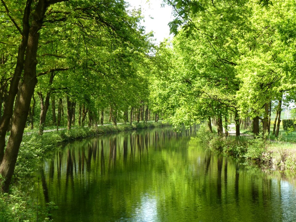 Mirror water nature