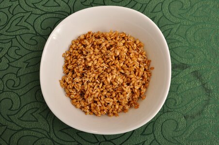 Vegetarian organic healthy