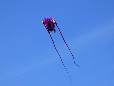 Kites rise dragon fly rise
