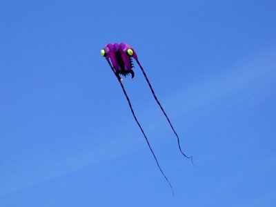 Kites rise dragon fly rise photo