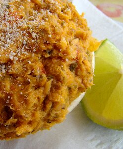 Entry food cone-of-trout