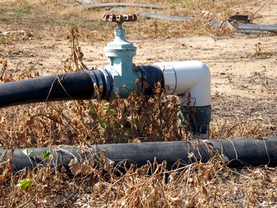 Equipment spigot dry