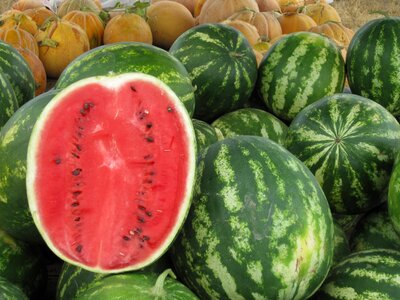 Summer fruit market