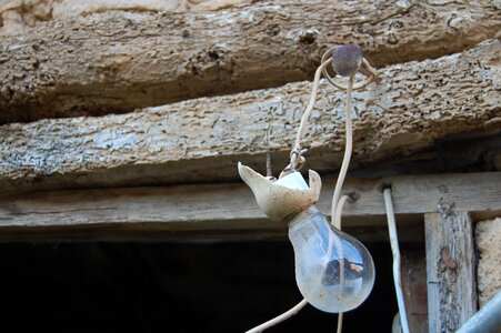 Bulb abandonment ramshackle