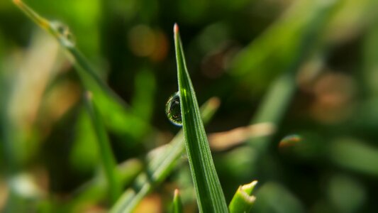 Outdoor water green
