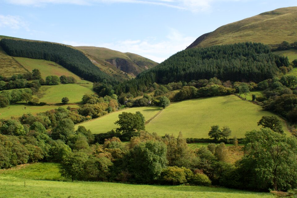 Nature outdoor british