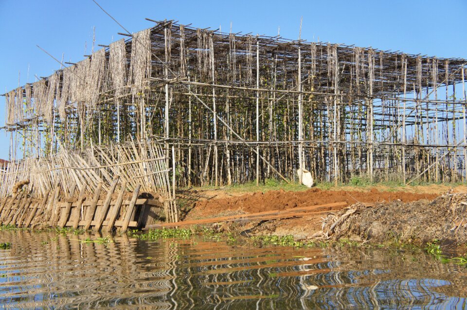 Bamboo bamboo scaffolding support