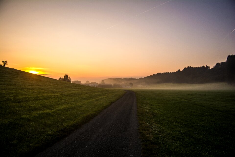Field rural fog