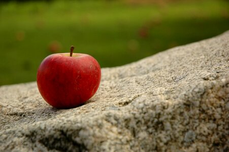 Fruit healthy delicious photo