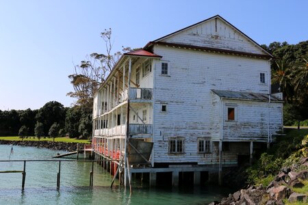 Devonport auckland
