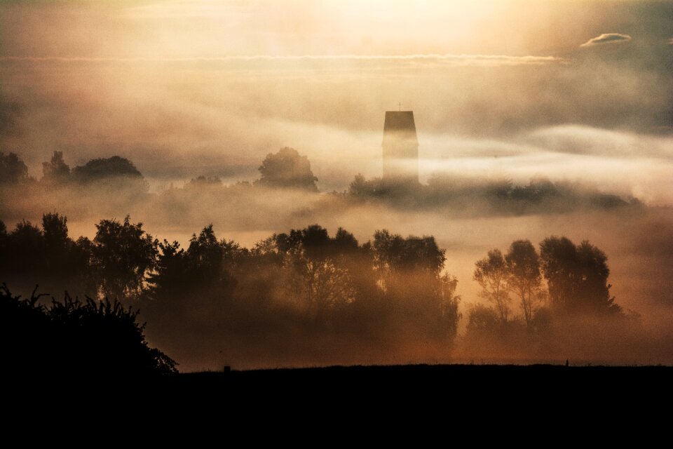 Fog field grass