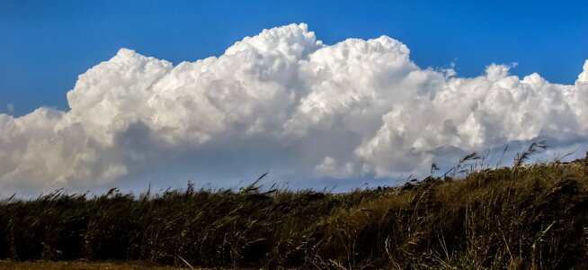 Cumulus white sky photo