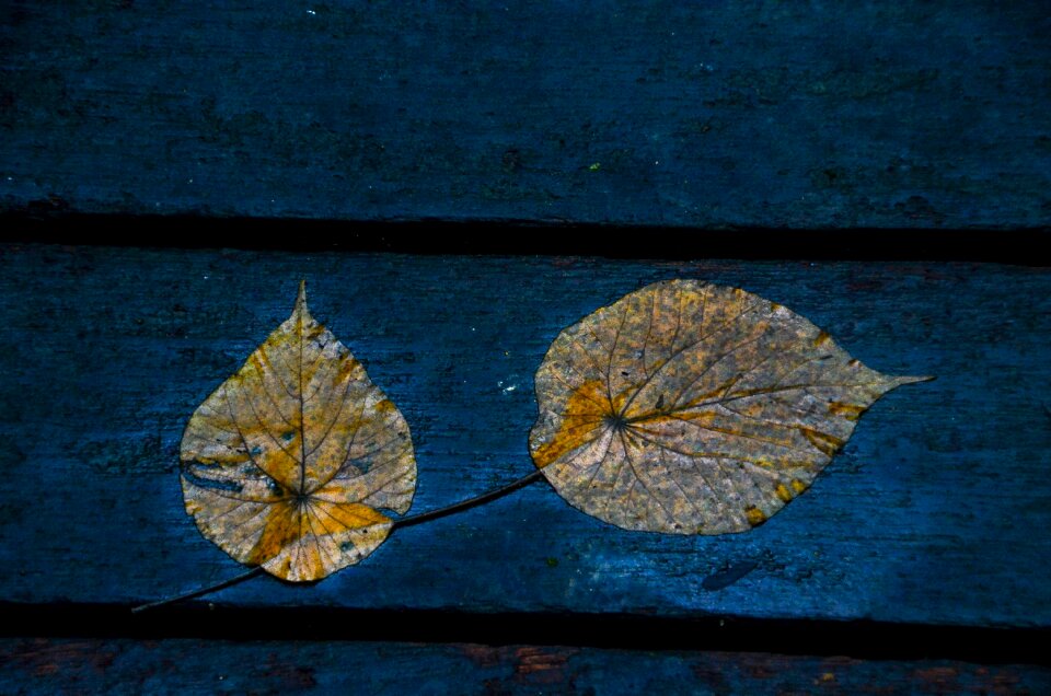Wet rainy ground