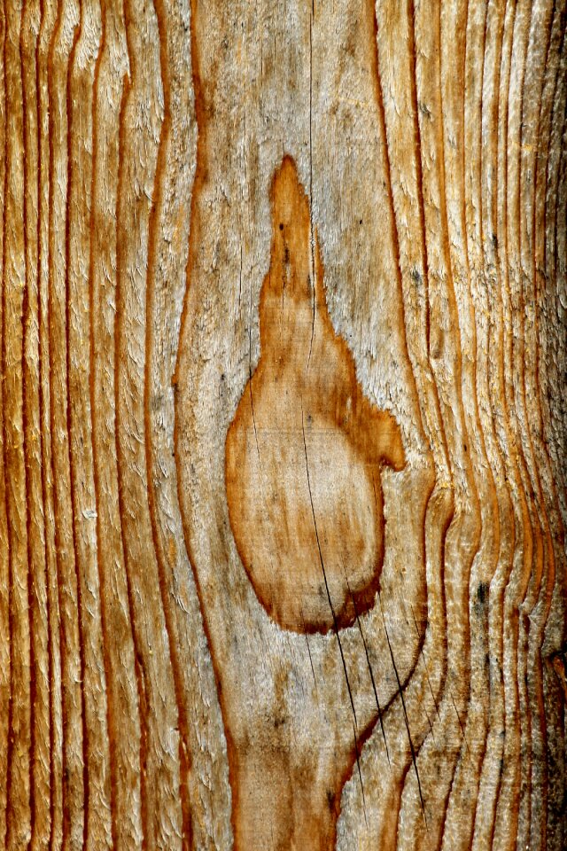 Sample grain structure