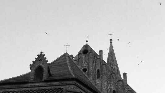 Monument architecture birds
