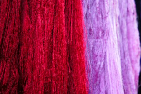 Purple hang dry