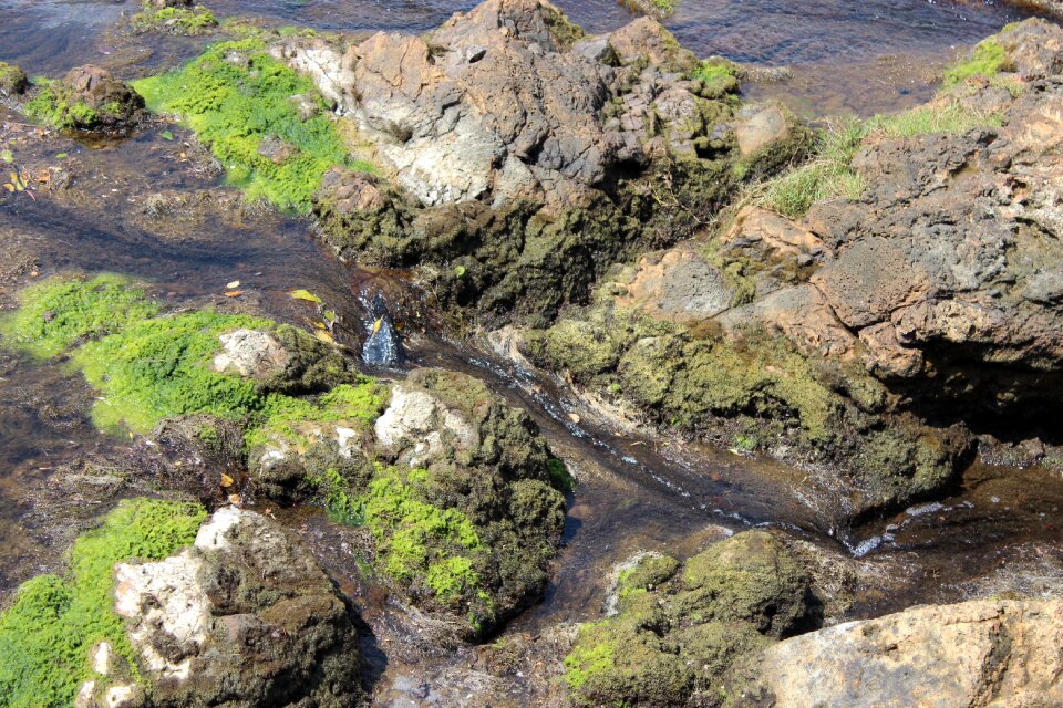 River nature landscape
