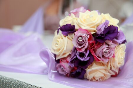 Romantic violet beautiful photo
