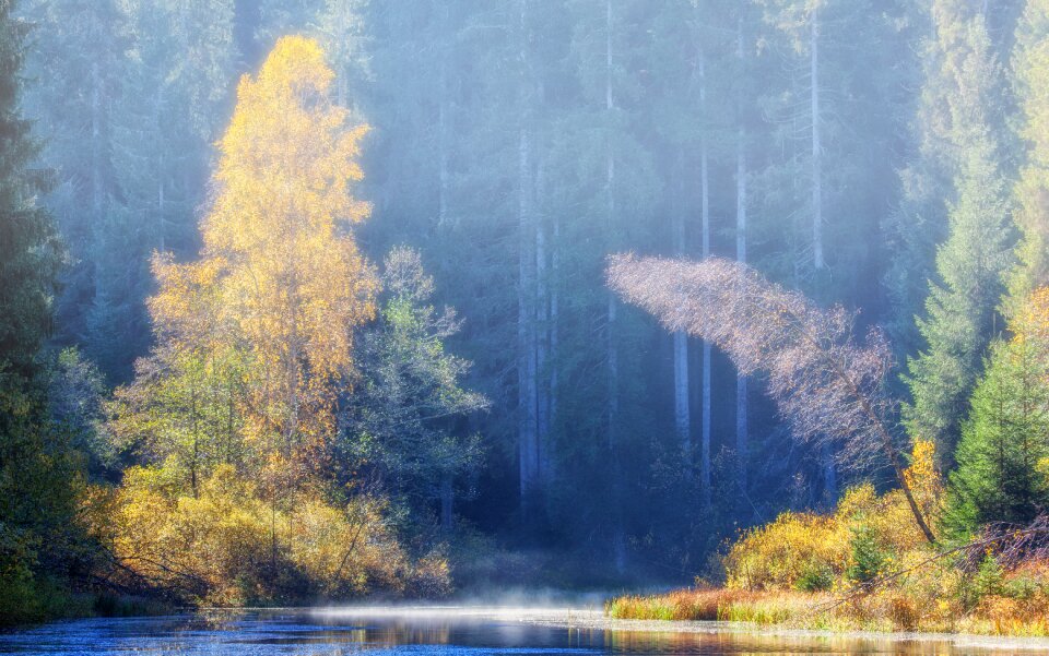 Morning morgenstimmung backlighting