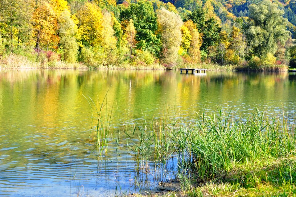 Lake quiet autumn picture water