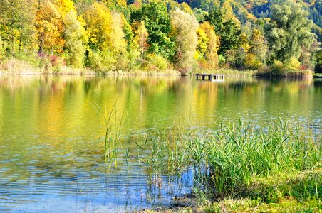 Lake quiet autumn picture water