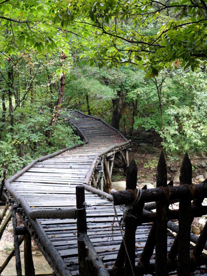 Mungyeong bridge wooden legs