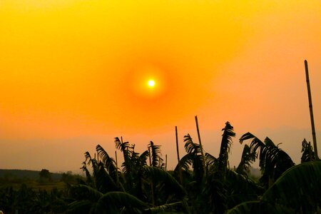 Orange sky evening golden sunset photo