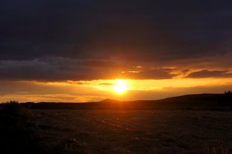 Gold sun early