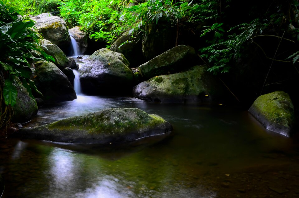 Natural brook still