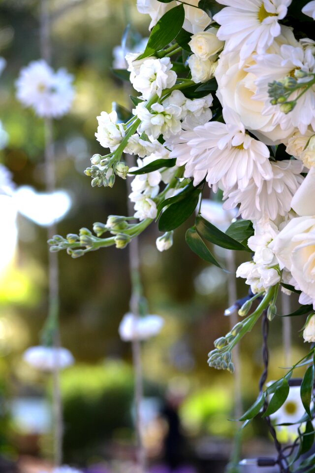 Marriage elegant celebration