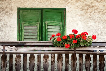 Facade house facade balcony with flowers photo
