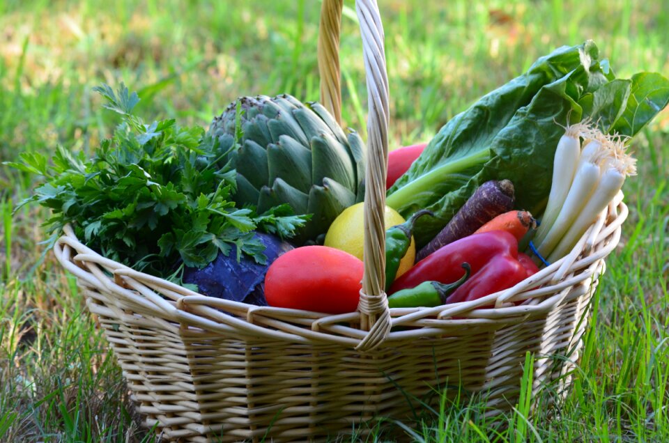 Vegetarian vegetable organic