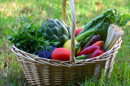 Vegetarian vegetable organic photo