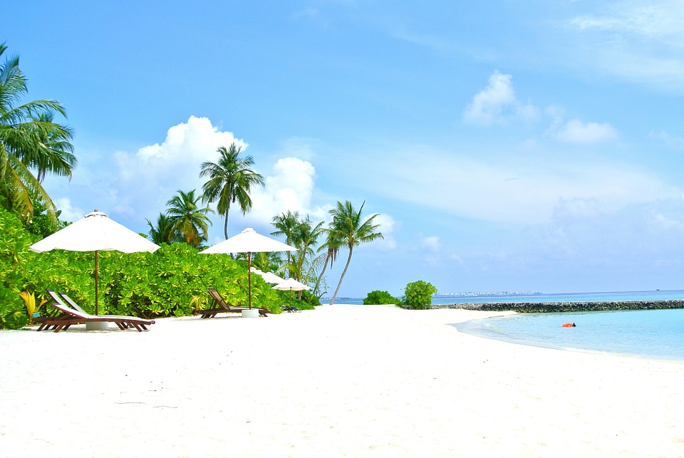 Resort summer holiday