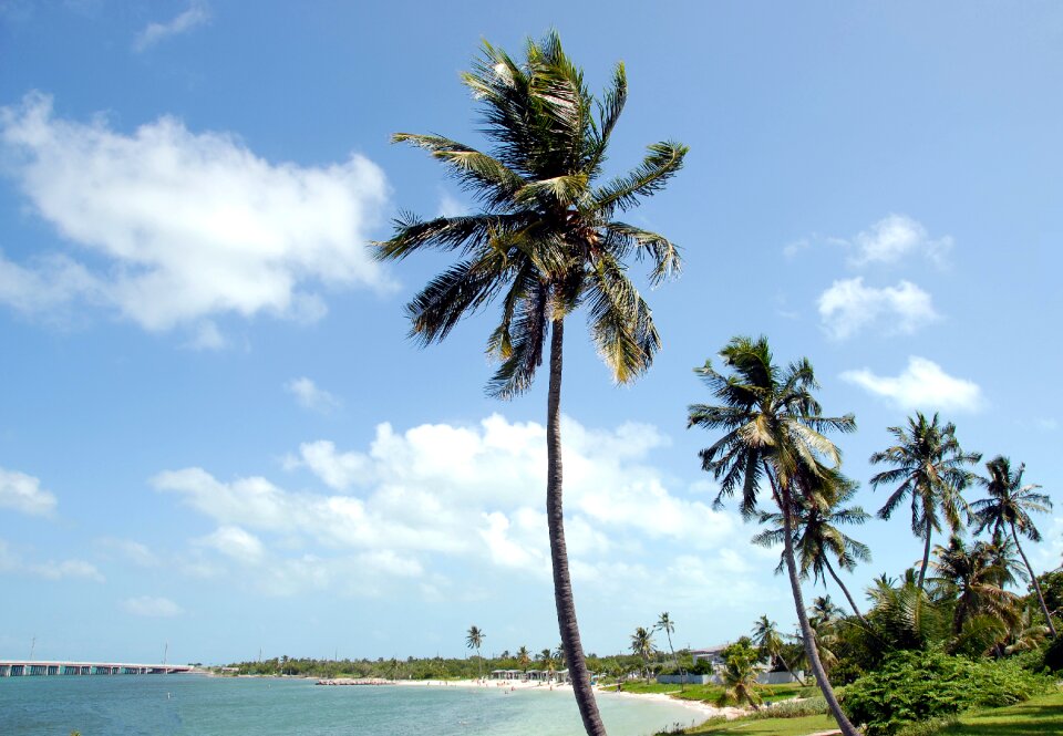 Key west tropical climate beach