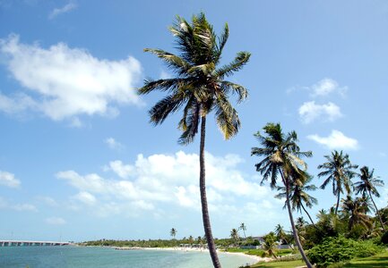 Key west tropical climate beach
