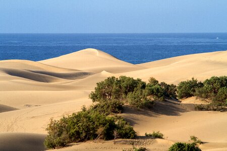 Gran canaria sand dunes maspalomas photo