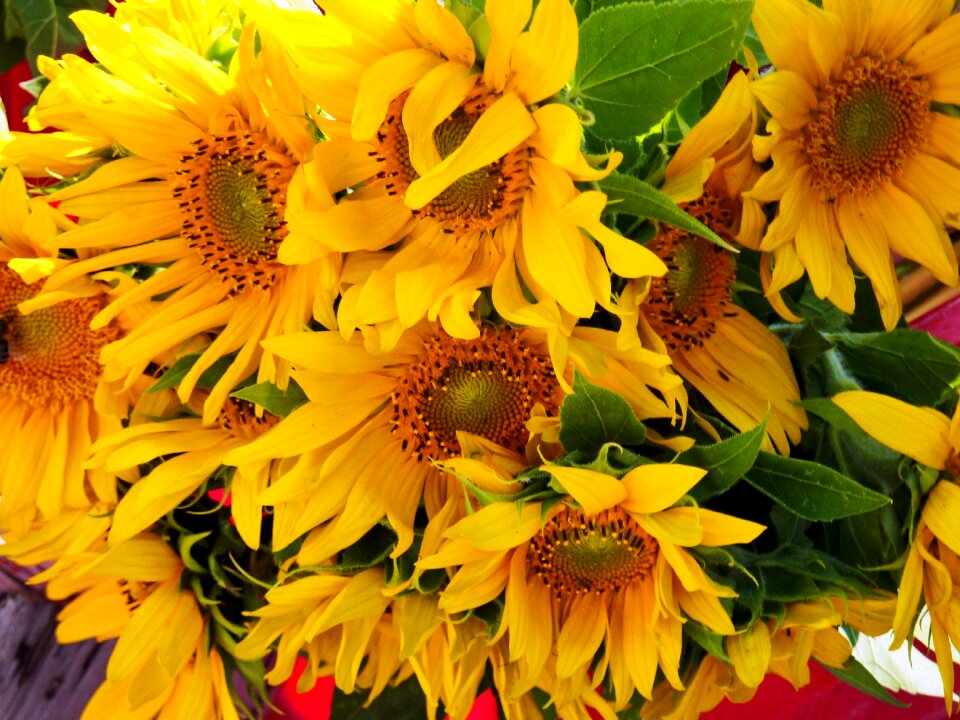 Market standl bouquet