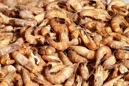 North sea shrimp delicatessen
