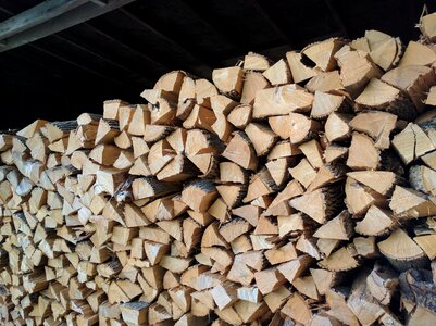 Log timber chopped photo