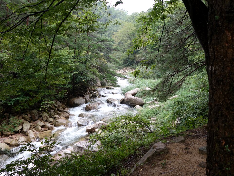 Republic of korea korea tourist destination