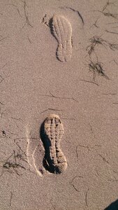 North sea footprint tracks in the sand photo