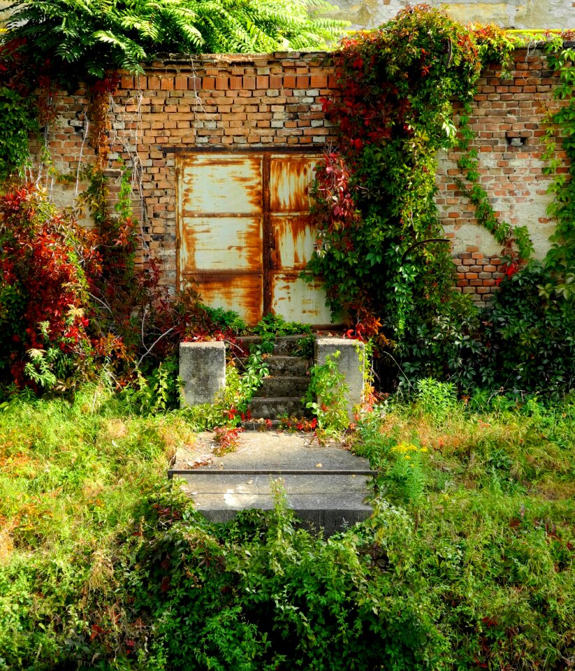 Overgrown colors still life